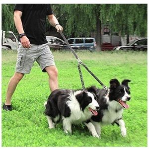 Double leash, excellent condition!